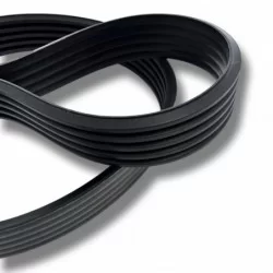 A50/03 / Wrapped Banded Belt - Length: 50in Inside Length